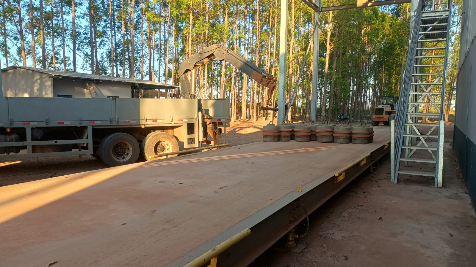 Atendimento de campo em balança rodoviária em área de eucalipto